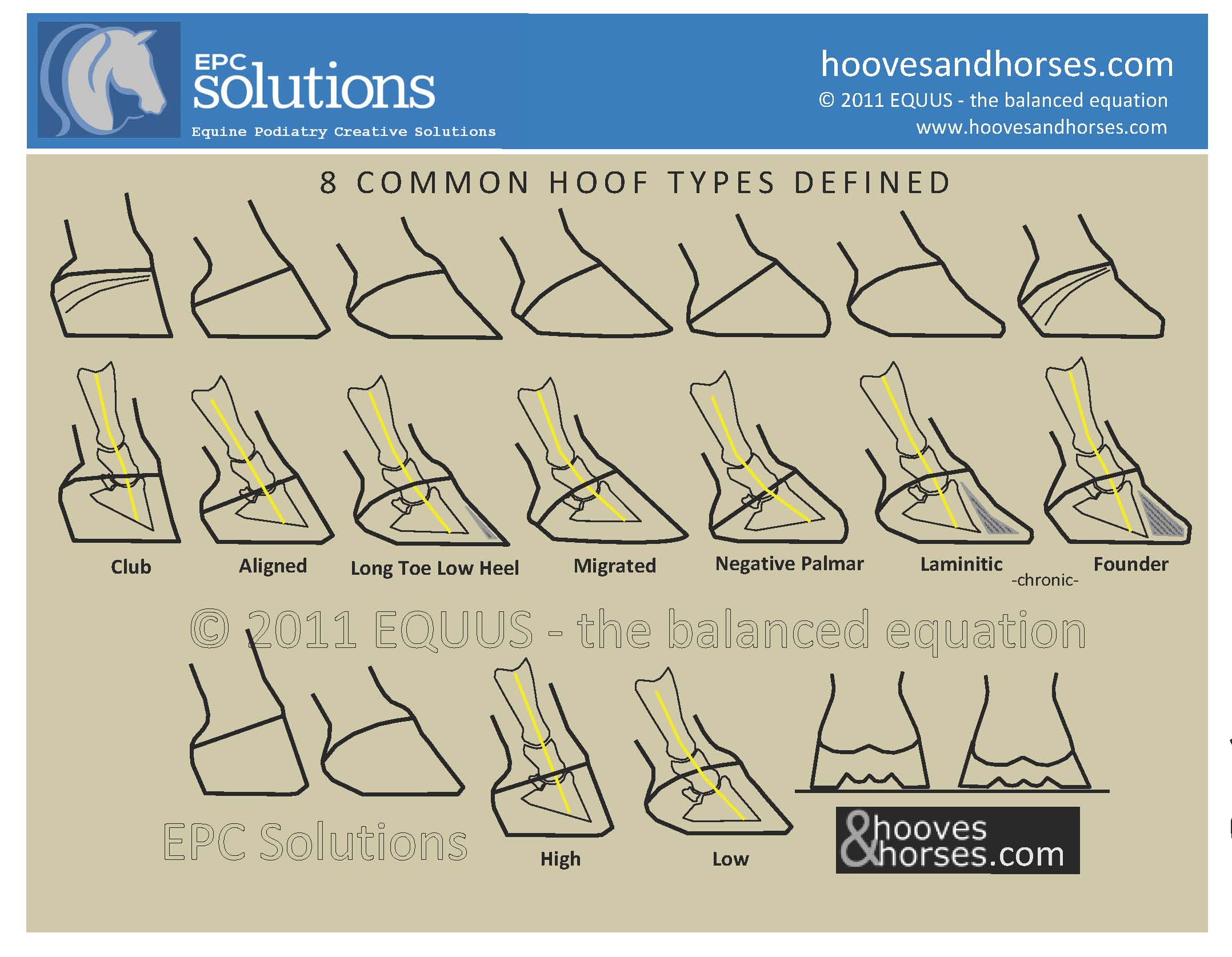 8 Hoof Types Explained