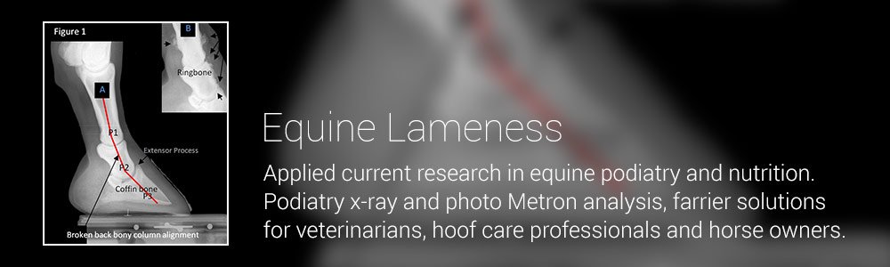 Equine Lameness